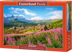 Puzzle 1000 pezzi Hala Gasienicowa, Tatras, Poland Castorland