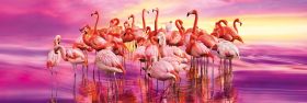 Puzzle Panorama 1000 pezzi Clementoni Flamingo Dance