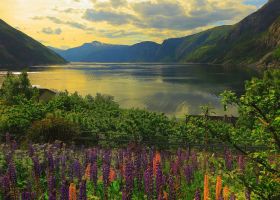 Puzzle 1000 Pezzi Ravensburger Fiordo in Norvegia | Puzzle Paesaggi
