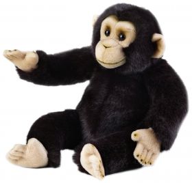 Scimpanzè 36 cm (Peluche National Geographic)